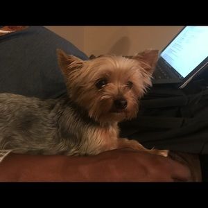 Meet your Posher, Alison